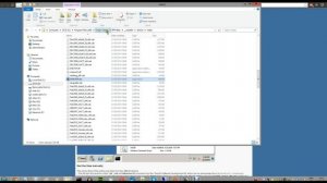 Battlefield Hardline bf3,bf4 invalid licence Missing DLL XINPUT9_1_0.dll  fix