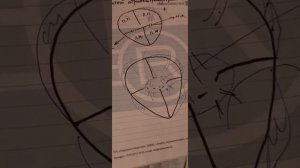 открытый атриовентрикулярный канал