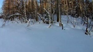 Рыбалка в Коми. Поехал ставить  приманку для ручейника.