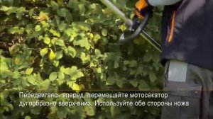 Аккумуляторные удлиненные ножницы STIHL HLA 65, вертикальный рез с расправленным ножом