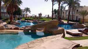 Своим ходом в Отель Amphoras Beach Resort 5* 🌴 Шарм-Эль-Шейх 2024 март