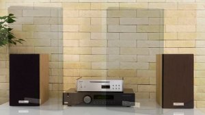 Двухполосные полочные колонки Arslab Classic 1 с двумя динамиками