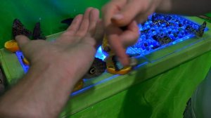 ВЫСТАВКА РУЧНЫХ БАБОЧЕК / ОГРОМНЫЕ ЦВЕТНЫЕ БАБОЧКИ