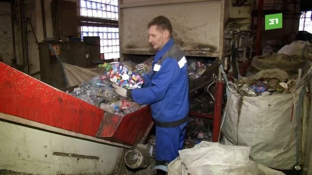 Собери пластик – спаси жизнь ребенку. Копейские школьники собрали рекордное количество крышек смотреть онлайн