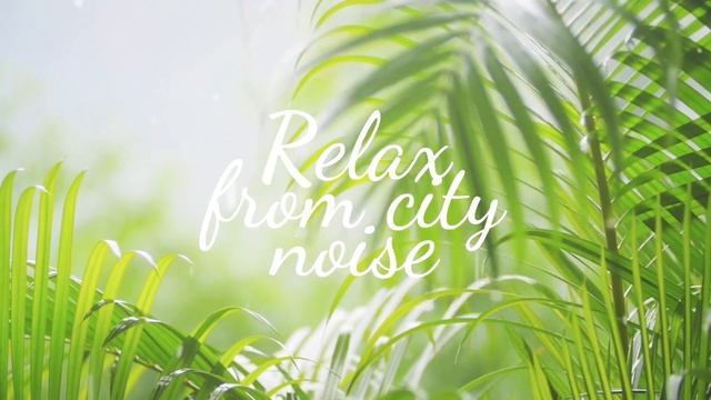 Медитация, расслабление и природа. смотреть онлайн