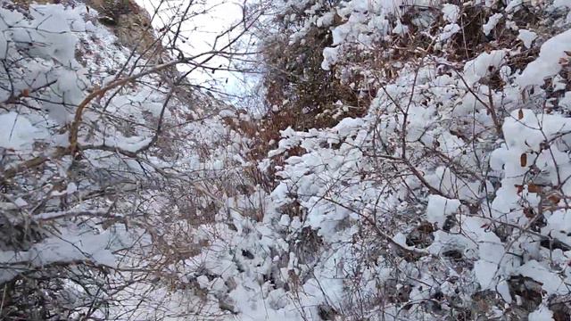 Вниз по Ущелью вдоль Замерзшей Речки!Природа!Сайрам-Угамский Нац.Парк.Казахстан!KazakhstanПОДПИШИСЬ смотреть онлайн