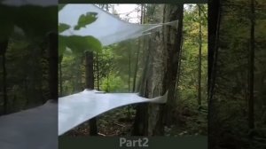 Палатка из пленки?! ? #палатка #самоделки #survival