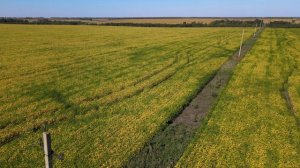 П_ 030_ Соя_Акардия