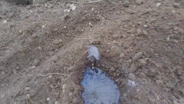 ПОСАДИ ТАК И СОБЕРЕШЬ БОЛЬШОЙ УРОЖАЙ смотреть онлайн