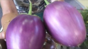 Оригинальные баклажаны с грибным вкусом