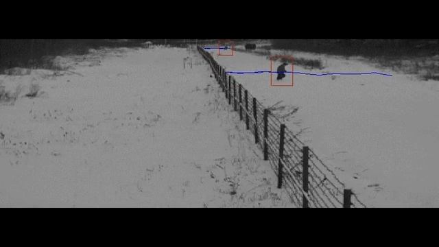 Opencv Tracking of Human (Видеоаналитика трекинг объектов) смотреть онлайн
