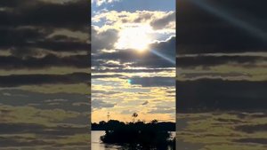 Кайрат Нуртас  - Сени суйем саксофон