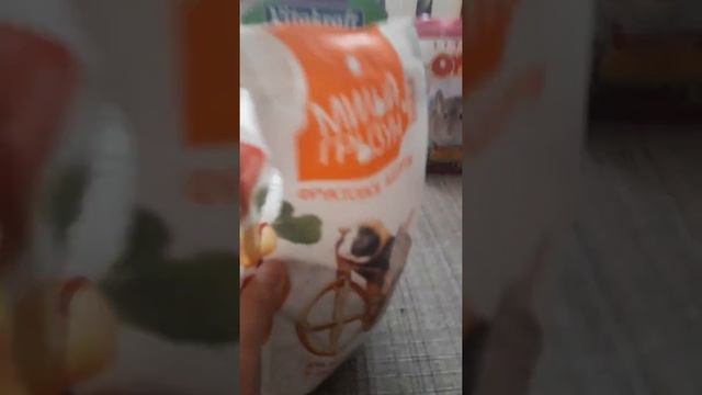 Как нужно подготовится при покупке шиншиллы?