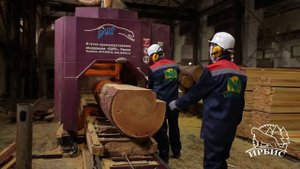 Производитель пиломатериалов и погонажных изделий завод «Ирбис»