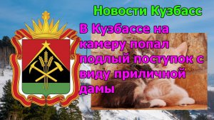 В Кузбассе на камеру попал подлый поступок с виду приличной дамы