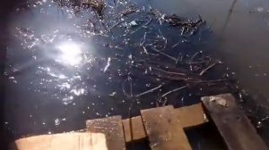 Плаваем на плоту