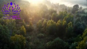 МОЩНАЯ МЕДИТАЦИЯ НА ДЕНЬГИ «Я ДЕНЕЖНЫЙ МАГНИТ»