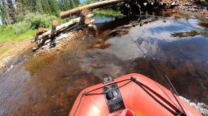 Путешествие на лодке Solar  Strela 420 под Mercury 25 Jet в Сибири.2 часть