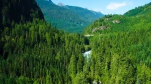 Лучшая медитация любви и изобилия от Ланы Принц ? Медитация глубокого расслабления и релакса