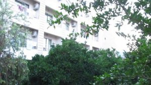 отель Erkal Resort 4* ТУРЦИЯ. ЧЕСТНЫЙ ОТЗЫВ