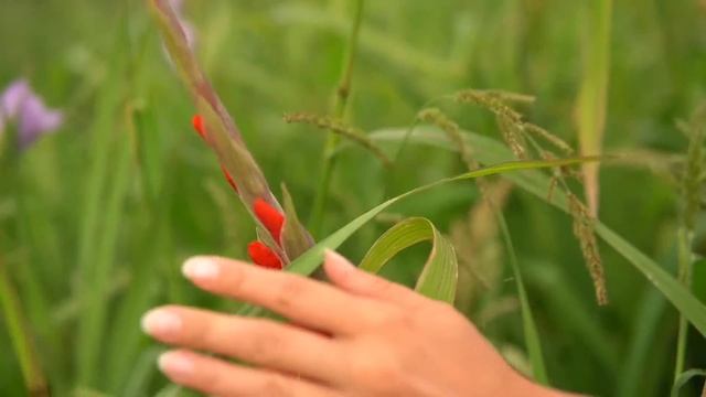РЕТРИТ дома| ПРАКТИКИ на природе, не выезжая из дома смотреть онлайн