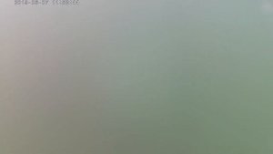 Карпфишинг. Барановское озеро. Дагомыс