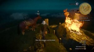 The witcher 3 forefather's eve quest