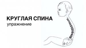 Круглая спина : упражнение