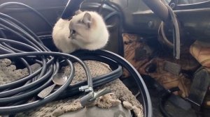 Установка крана печки от Маза в Зил 130 дизель