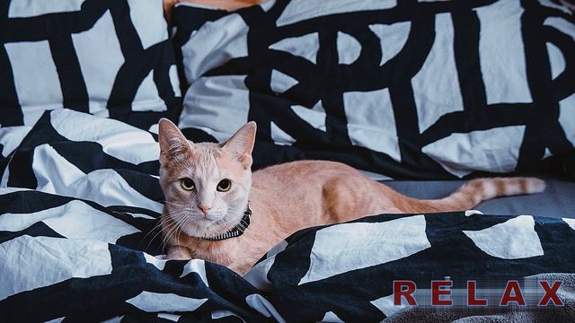 Музыка для души смотреть онлайн