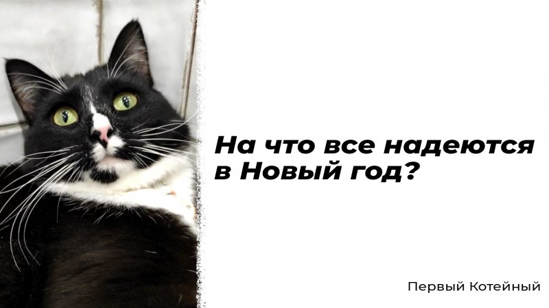 На что все надеются в Новый год? ?️