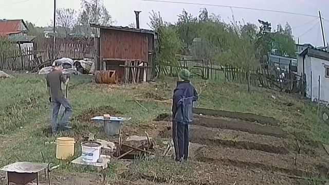 ЗАБРОШЕННАЯ ДАЧА 2 СЕЗОН | Морковь, редис посажены | Вскопали грядки | # 32