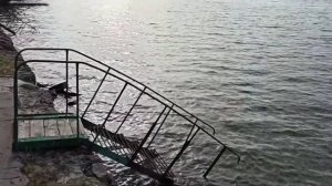 База отдыха Радуга ?Россия, Неклиновский район, х.Седых, ул. Центральная, 64