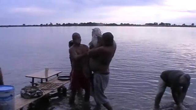 Охота и  рыбалка,  Волга, Астрахань, Харабали, Дедушкин хутор.