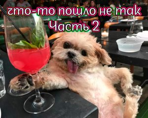 Что-то пошло не так - часть 2