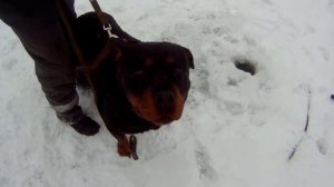 рыбалка на Дону | Воронеж | 12 февраля 2023