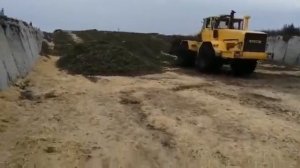 Закладка силоса в ООО Куликово (Омская область)