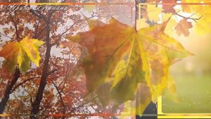 Стареть не стыдно. 1 октября День пожилых людей. Красивое поздравление с Днем пожилого человека.