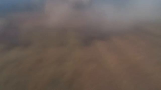 Уборка семян люцерны НИВА СК -5. 22,08,2015(люцерна) смотреть онлайн