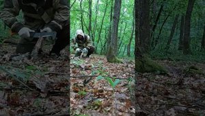 лесные приключения ч.3 тест секача фискарс xa3