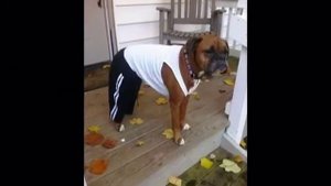 Заморочки.mp4