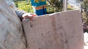 Матки пчелиные кордован. Пчеловодство. Кочевая пасека