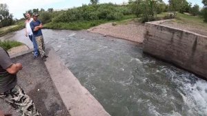 Рыбалка на подъёмник(паук)/Поймать на обеденном перерыве/Хороший клёв