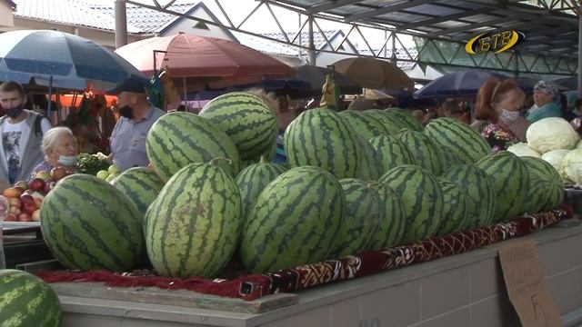 Арбуз на любой вкус смотреть онлайн