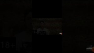 Кот блюёт а собака пердит