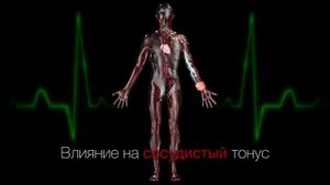 Аппарат для нормализации давления INFERUM NBP-050