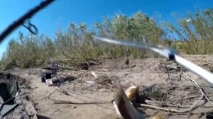 Сазан ДАВИТ  Ловля Сазана  Рыбалка на Волге на Сазана  Рыбалка