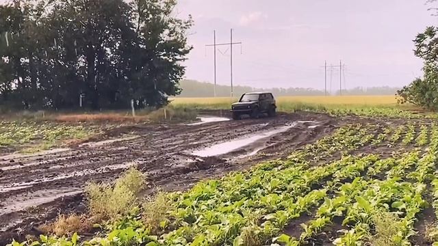 Прольют дожди Нива 3D яшма смотреть онлайн