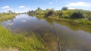 Ловля рыбы на медведку, видео rybachil.ru