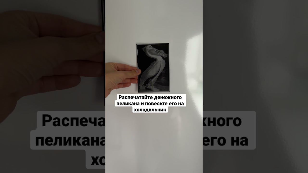 Пеликан помог сотням и тысячам людей, обратившимся в нему смотреть онлайн